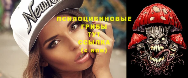 ALPHA PVP Белокуриха