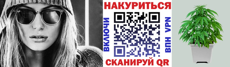 Купить где  Таруса  Бошки Шишки SATIVA & INDICA 